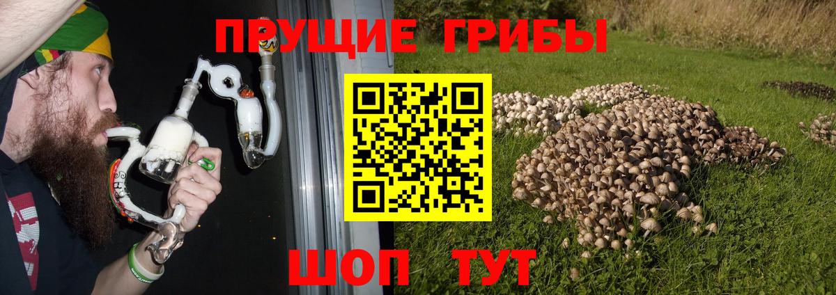Галлюциногенные грибы мицелий Гудермес