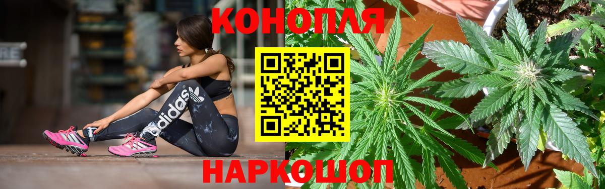 Бошки Шишки MAZAR  Марихуана сатива  Гудермес  Вход с VPN  Бошки марихуана THC 21% 